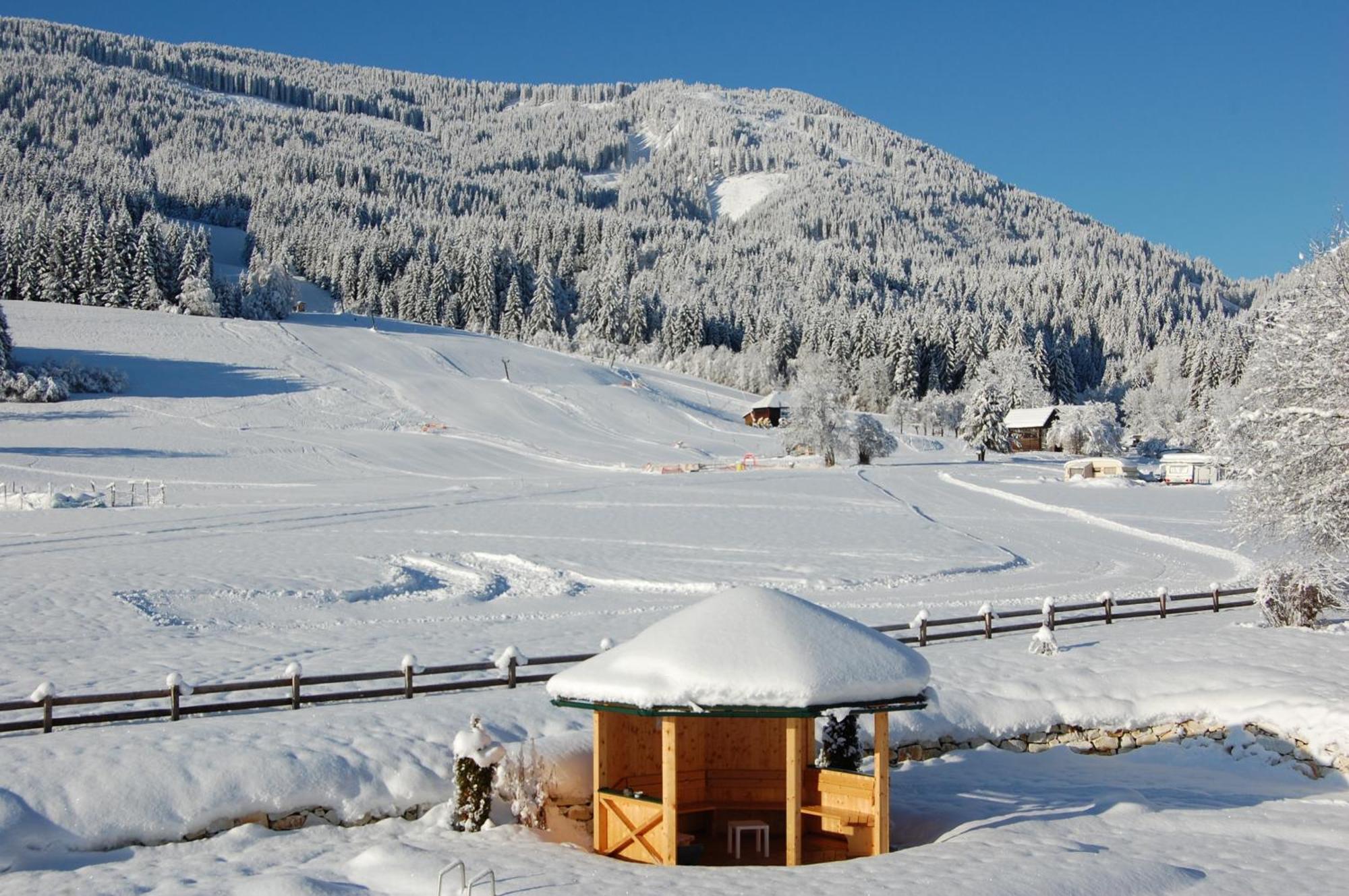 Ferienhaus Franz Weissbriach Luaran gambar